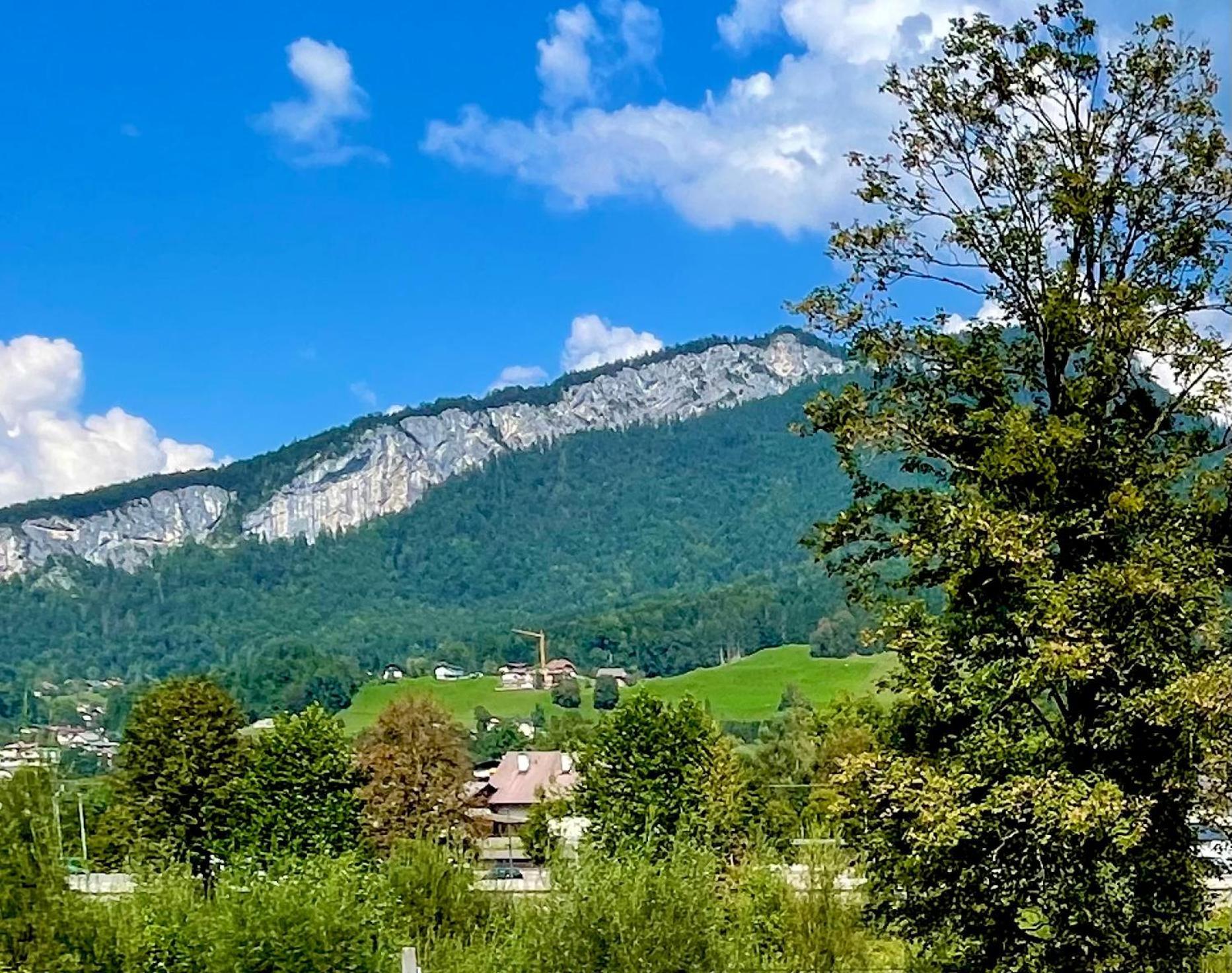 Mitzis Stubn Apartments - Bad Goisern - 24-Hour Self Check-In Extérieur photo